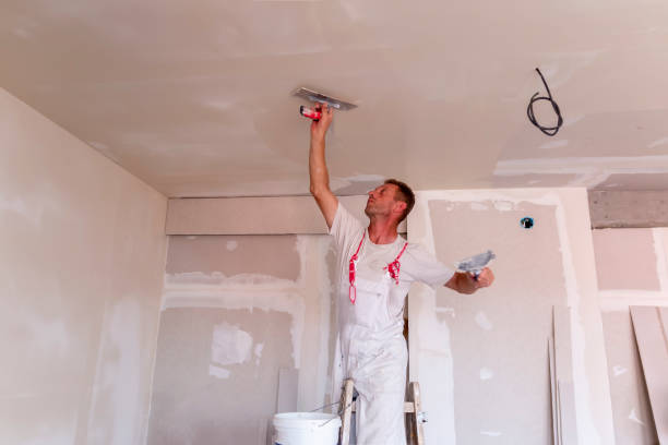 Professional Dry wall and painting in Grand Prairie, TX